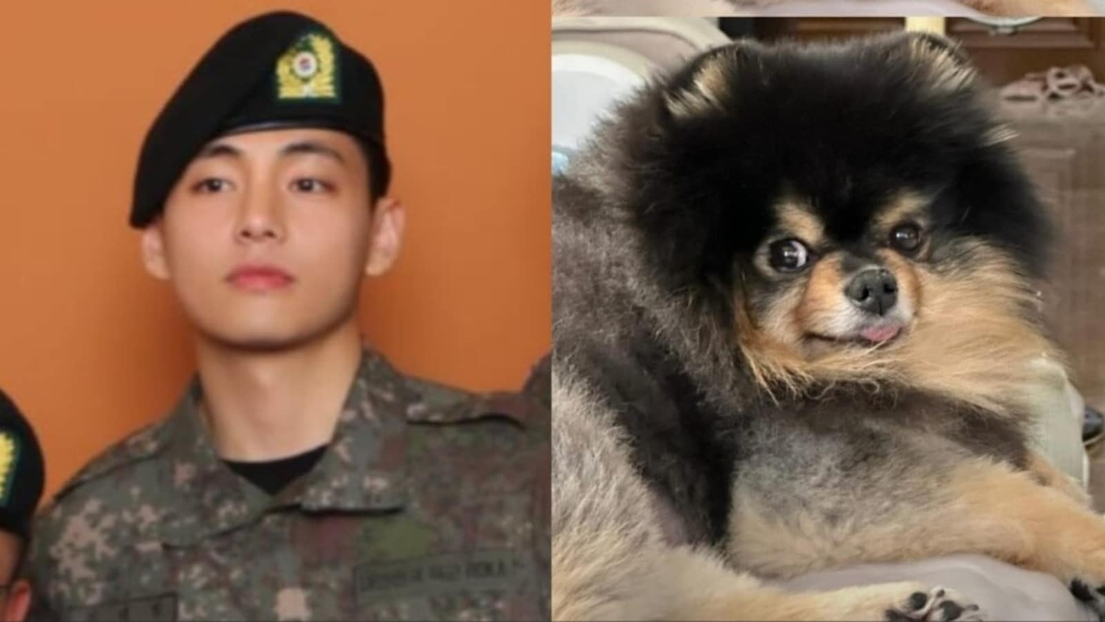 BTS' V shares photo of their 'current situation', gives glimpse of pet Yeontan;  Fans say: Kim Taehyung came home