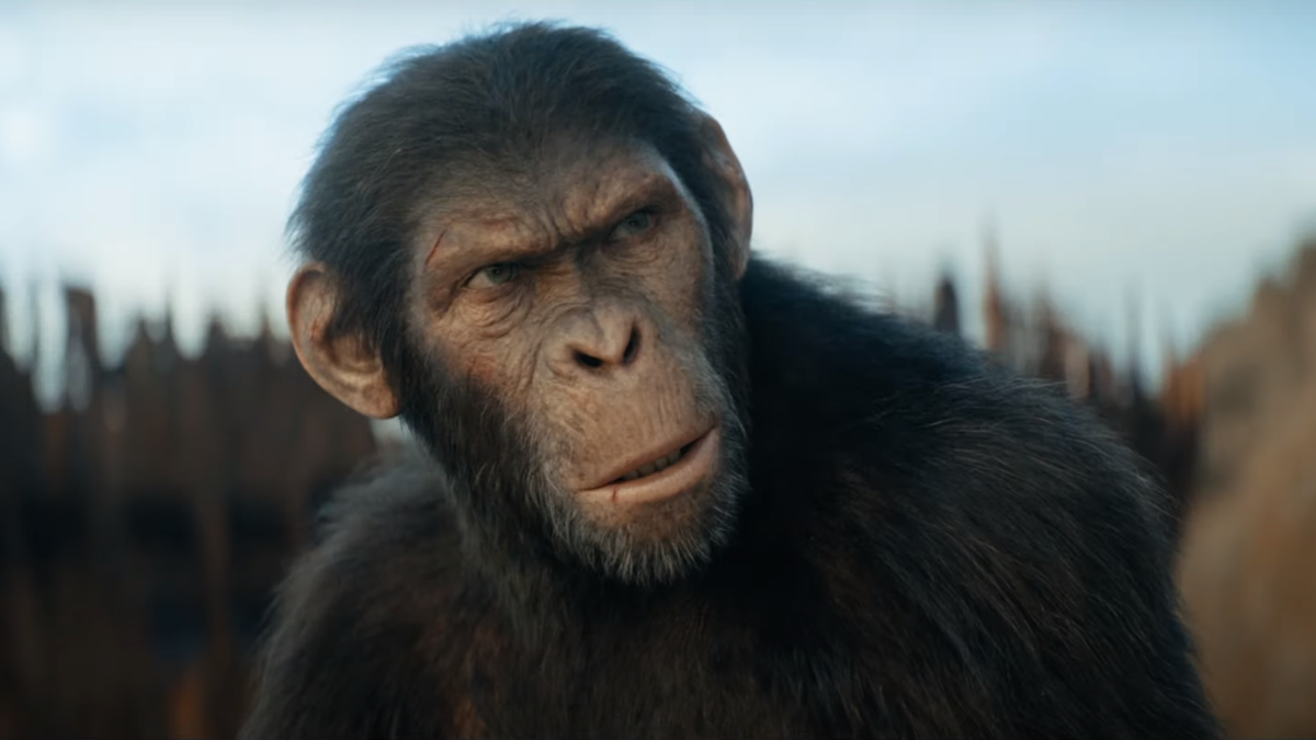 'Kingdom of the Planet of the Apes' rules the box office with $56.5 million opening