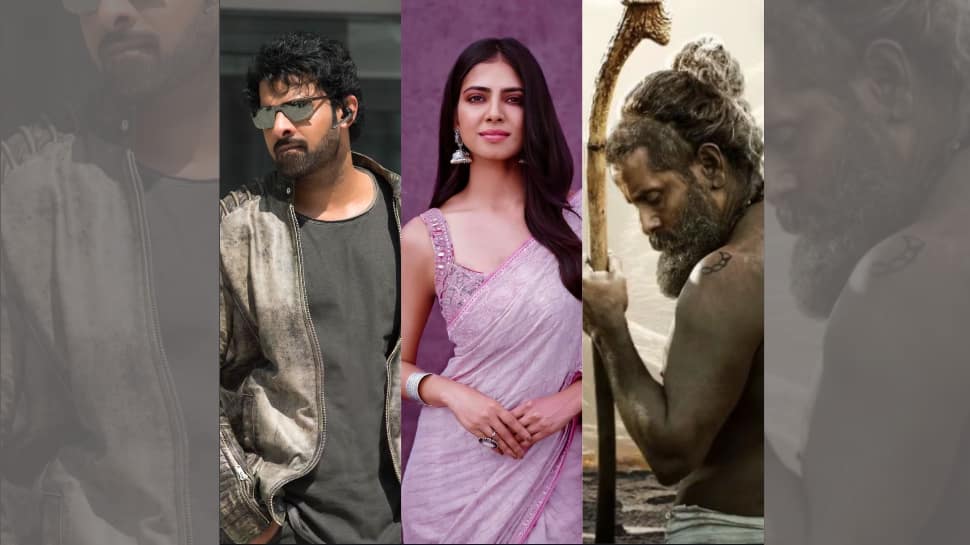 Malavika Mohanan is ready for blockbuster roles with actors Prabhas and Vikram