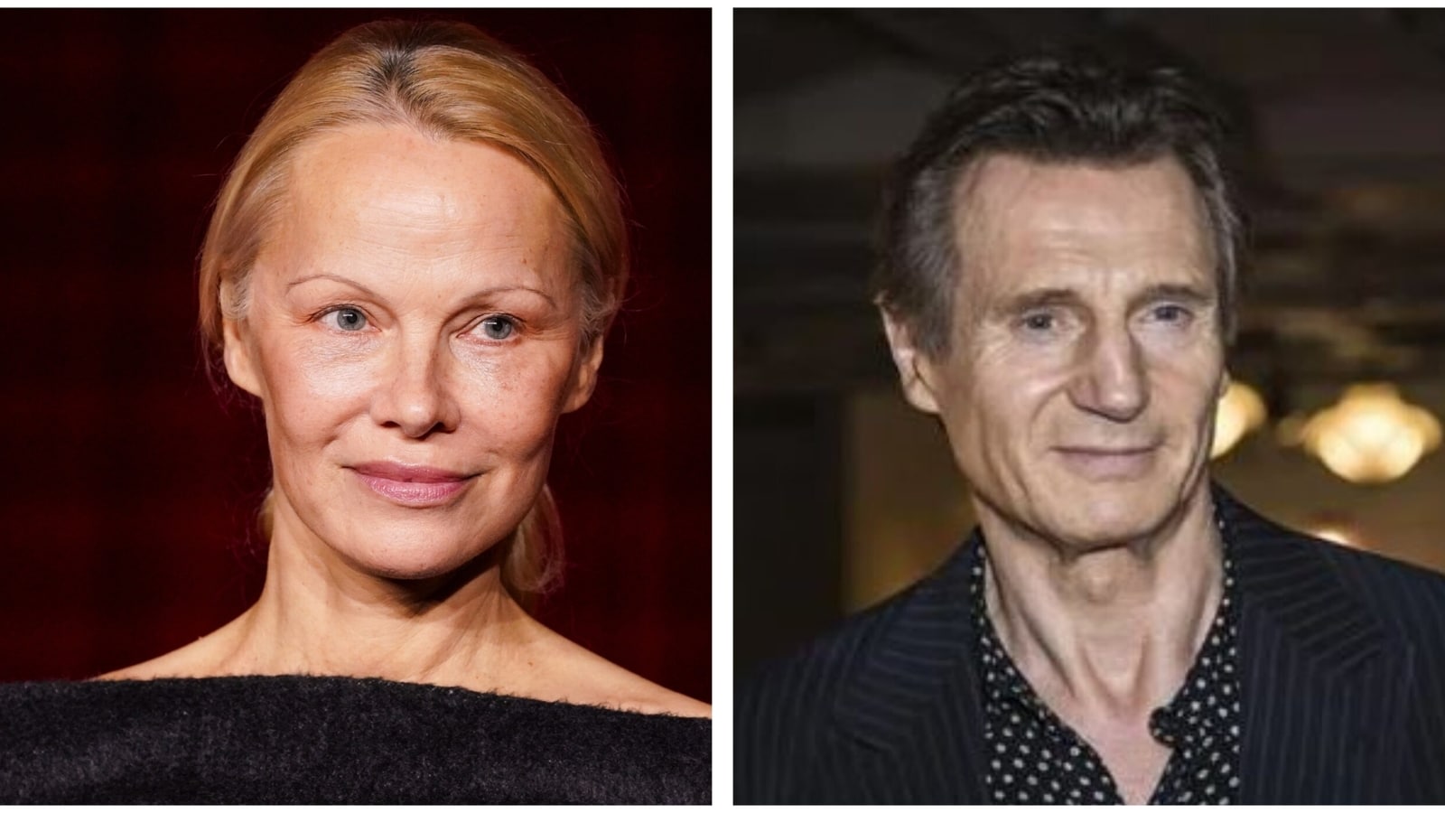 Pamela Anderson calls Liam Neeson the 'perfect gentleman' after she says he's 'madly in love' with her