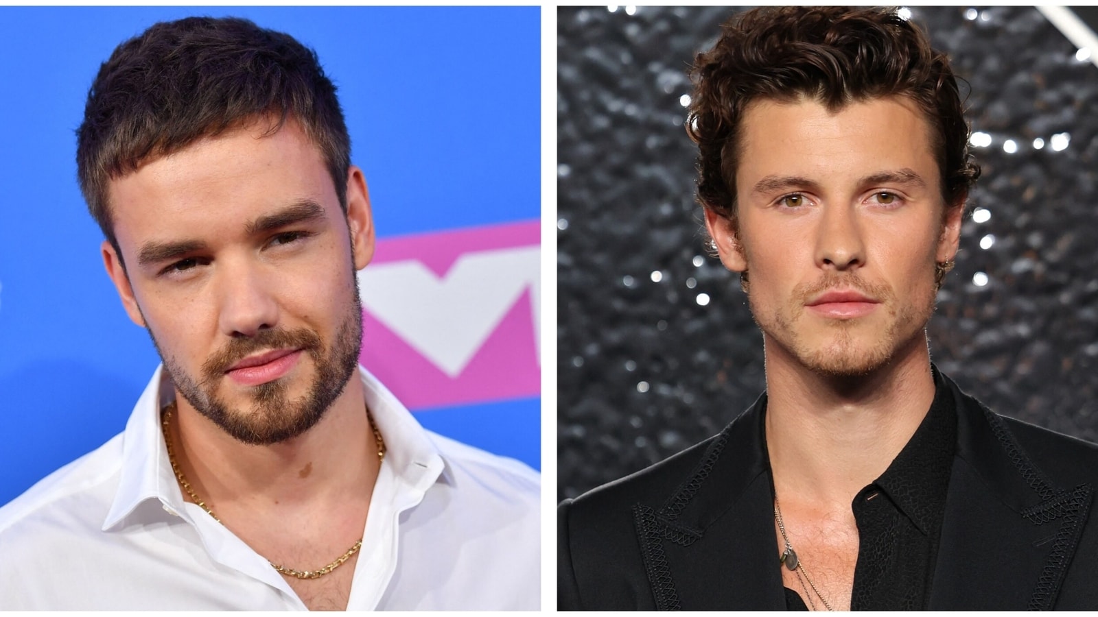 Shawn Mendes stops concert in honor of Liam Payne, dedicates new song Heart of Gold to him: 'The world is crying for you'