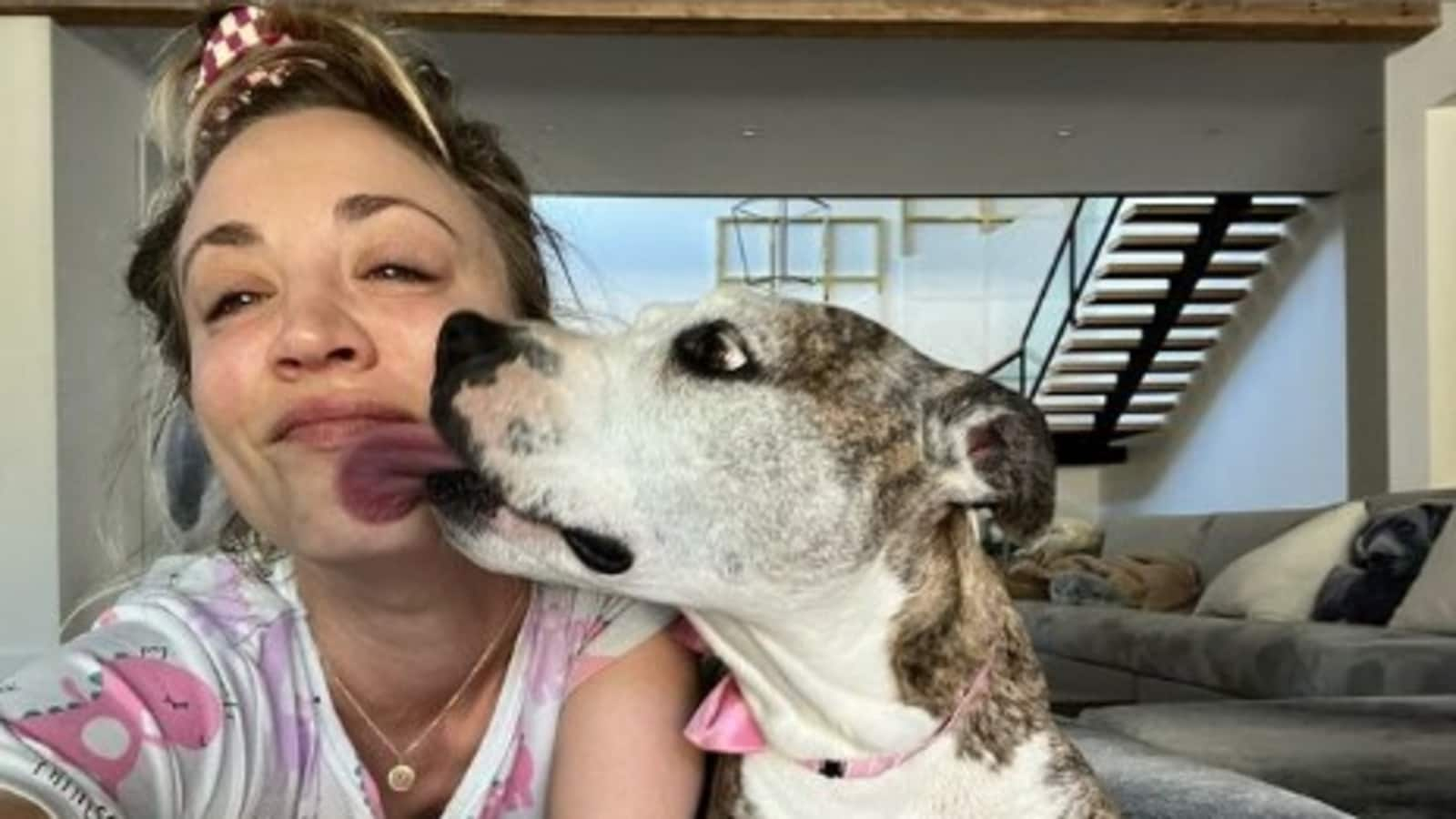 Kaley Cuoco opens up about death of her beloved dog Shirley, reveals 'painful' reason why she rehomed her