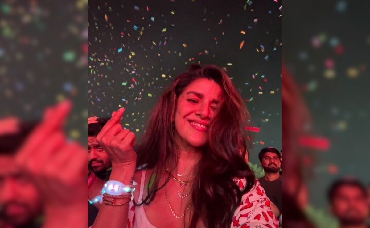 Nimrat Kaur had this fun at Diljit Dosanjh's Pune concert: "hona ni i recover,