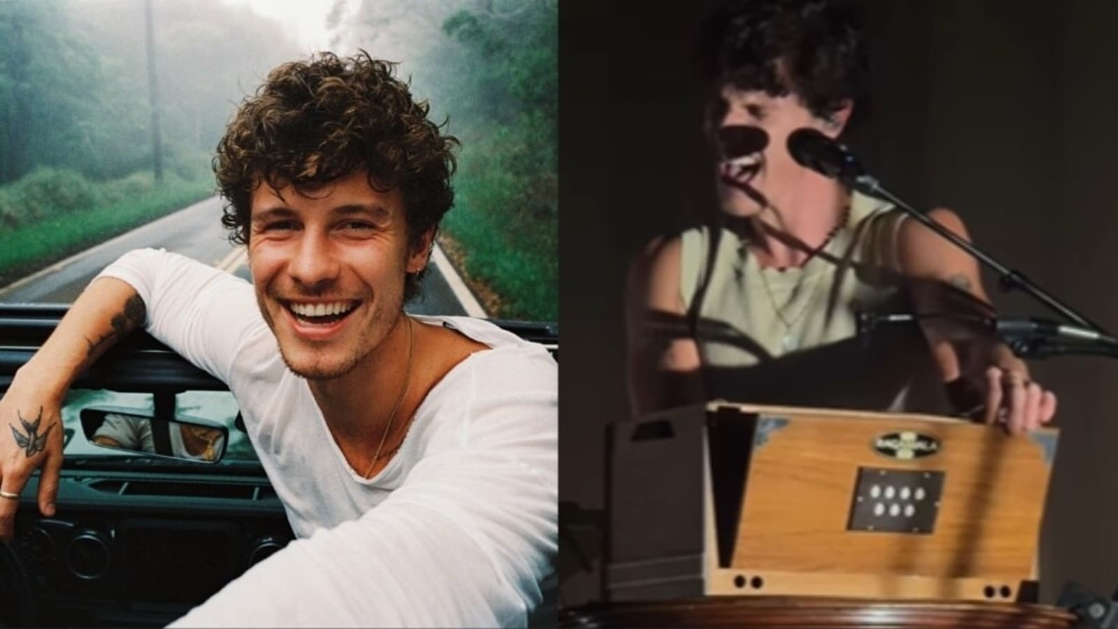 Shawn Mendes plays Indian harmonium on stage, fans call him ‘Ustad Shawn Ali Khan’. Watch