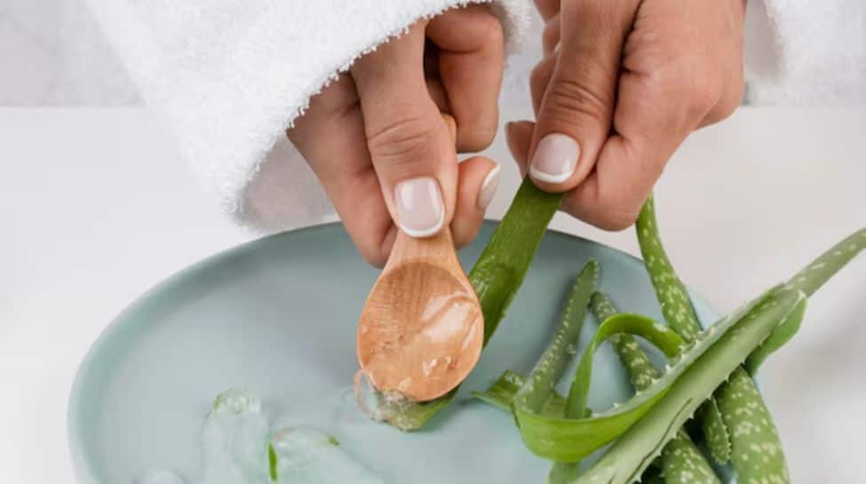 Aloe Vera: Your Ultimate Guide to Healing, Hydrating and Glowing Skin