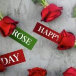 Happy Rose Day 2025: WhatsApp desires, greetings, messages, images to share with your loved ones