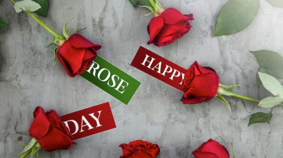 Happy Rose Day 2025: WhatsApp desires, greetings, messages, images to share with your loved ones