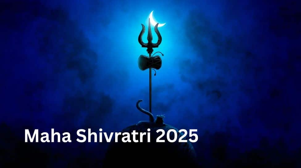 Maha Shivratri 2025 Fasting Rules: Break fast, do not eat rice – check the dos and don