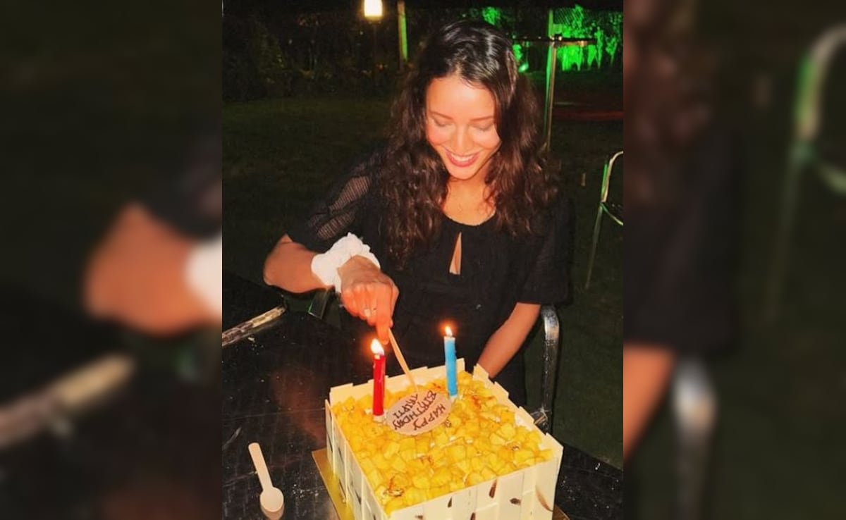 Triptii Dimri’s birthday celebrations: “Can’t be said for a better birthday”