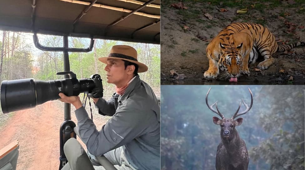 Randeep Hooda celebrated World Wildlife Day with amazing wildlife photography, see pics